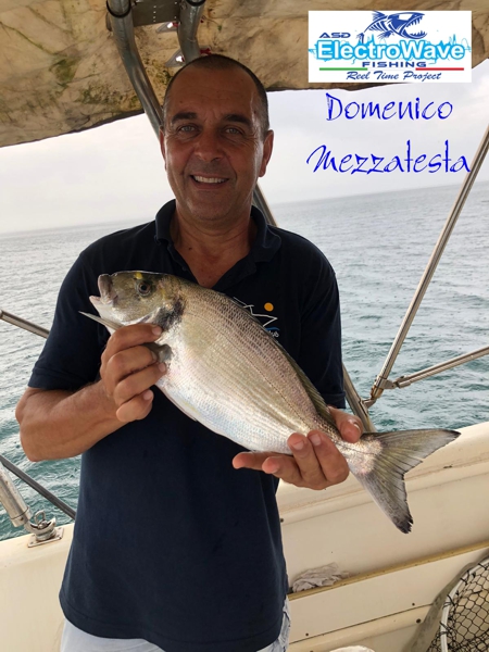 Domenico Mezzatesta