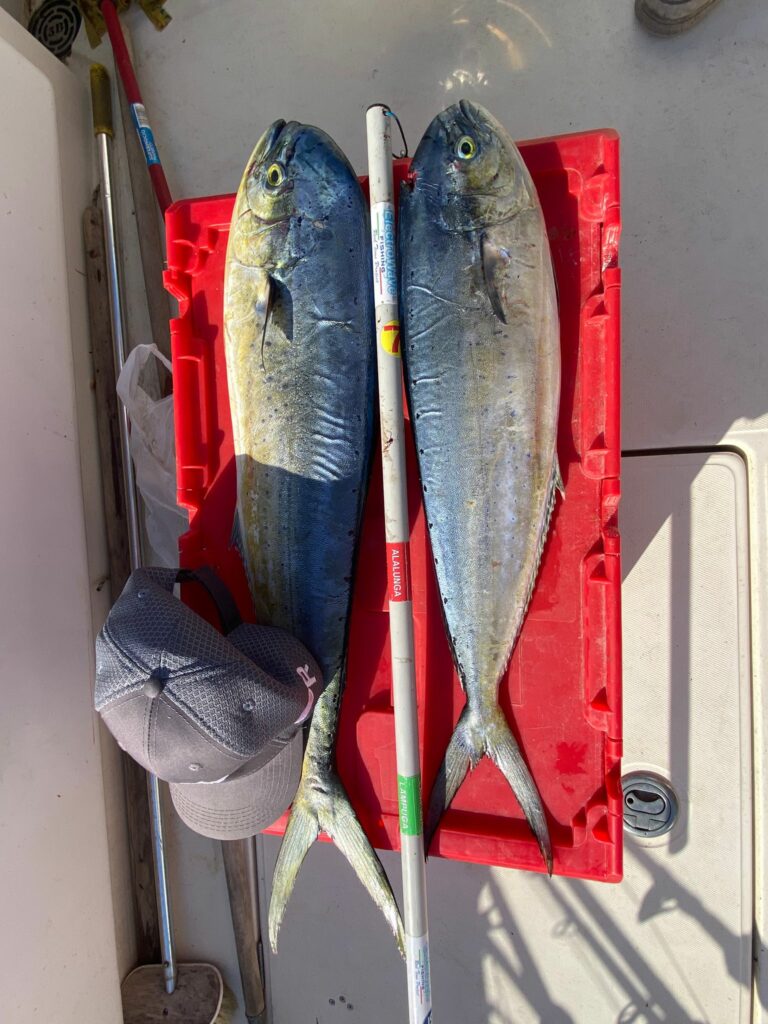 WhatsApp Image 2022-10-08 at 16.28.56