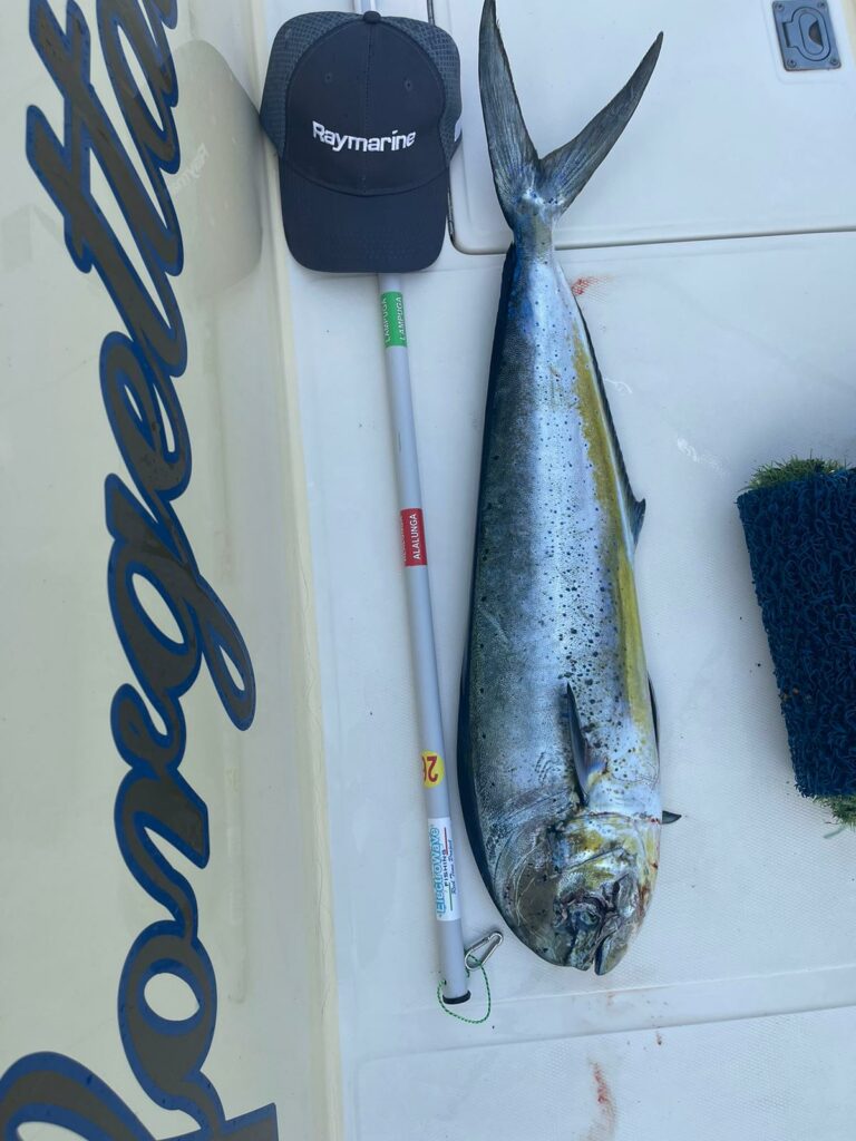 WhatsApp Image 2022-10-08 at 16.34.31