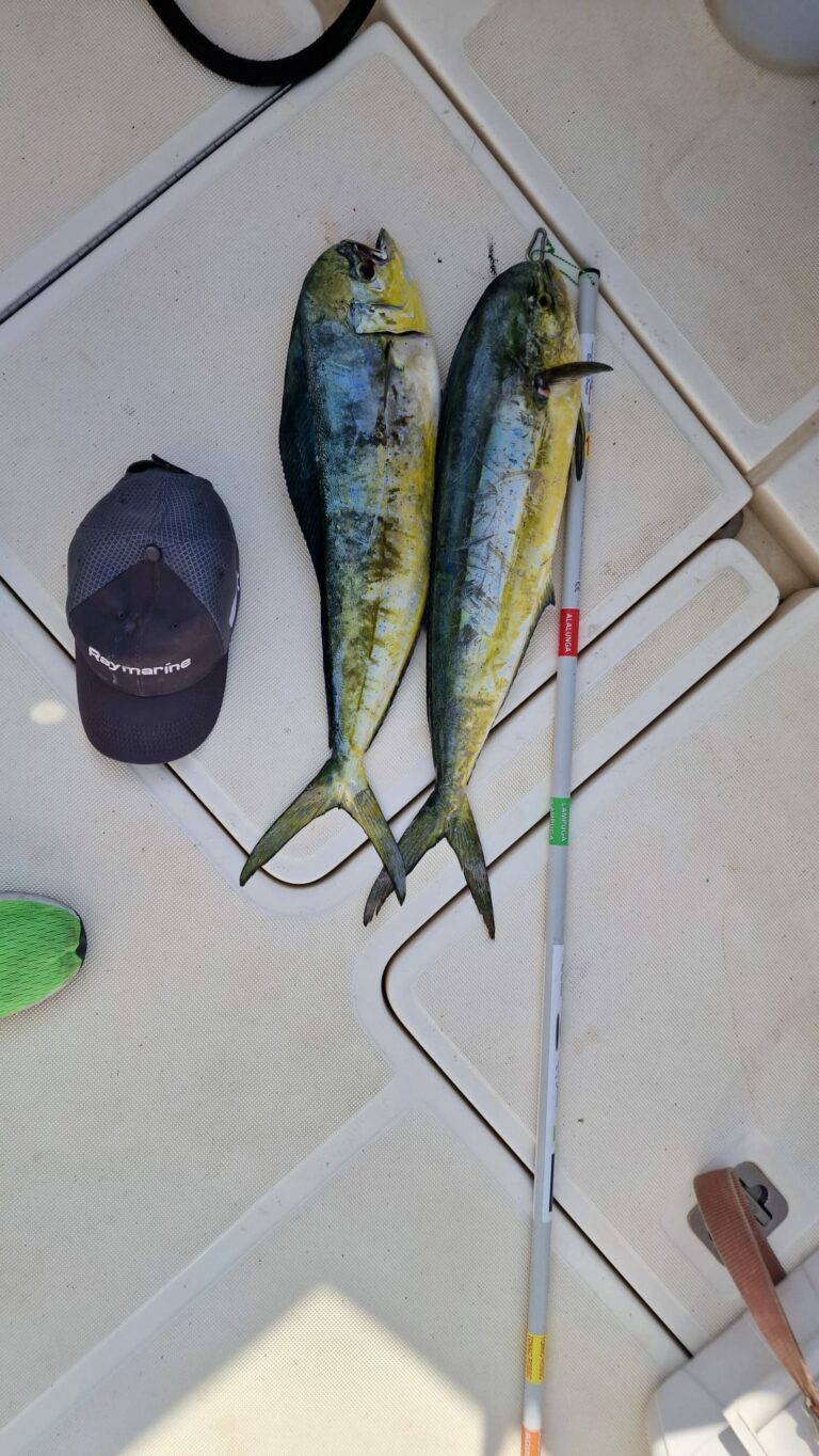 WhatsApp Image 2022-10-08 at 16.35.11