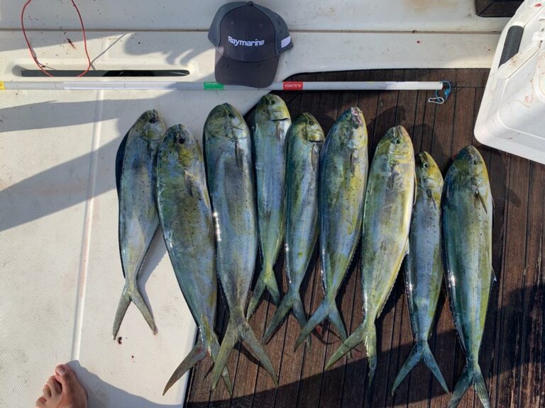 WhatsApp Image 2022-10-08 at 16.35.34