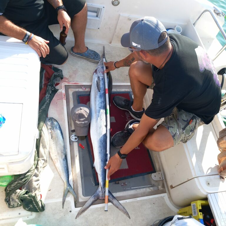 WhatsApp Image 2022-10-08 at 16.41.45