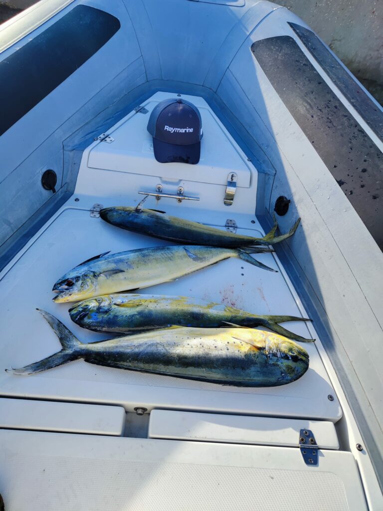 WhatsApp Image 2022-10-08 at 16.49.15