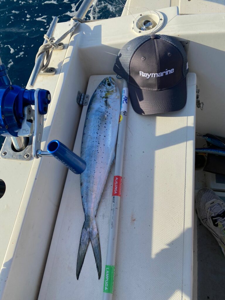 WhatsApp Image 2022-10-08 at 17.03.56