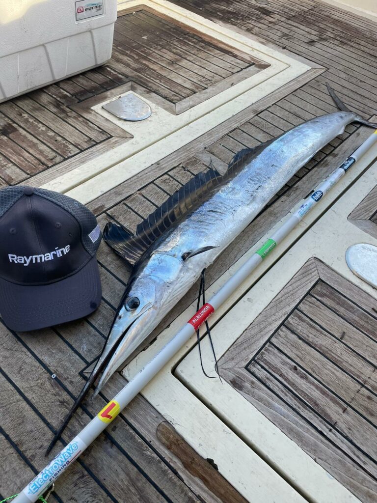 WhatsApp Image 2022-10-08 at 17.30.52