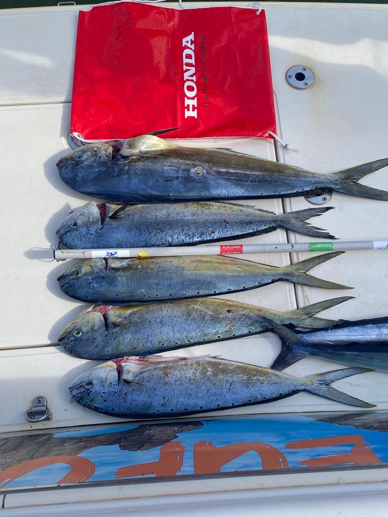 WhatsApp Image 2022-10-09 at 14.58.21