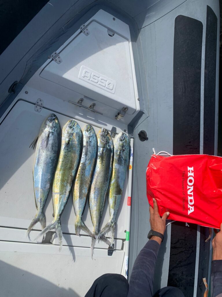 WhatsApp Image 2022-10-09 at 15.09.35