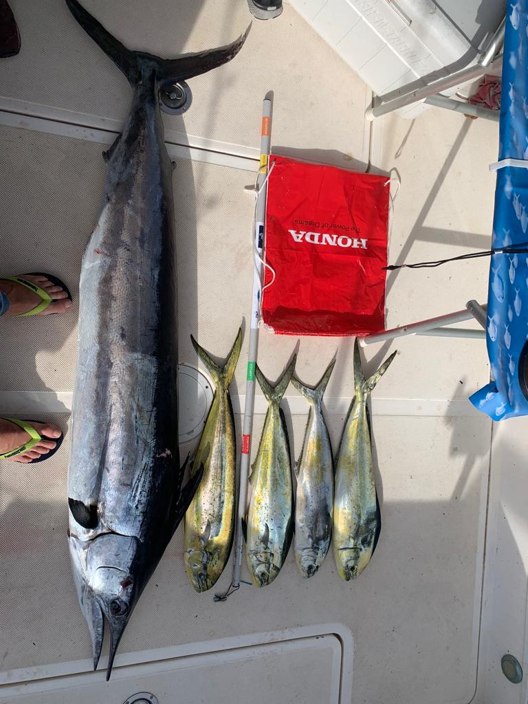 WhatsApp Image 2022-10-09 at 15.25.57