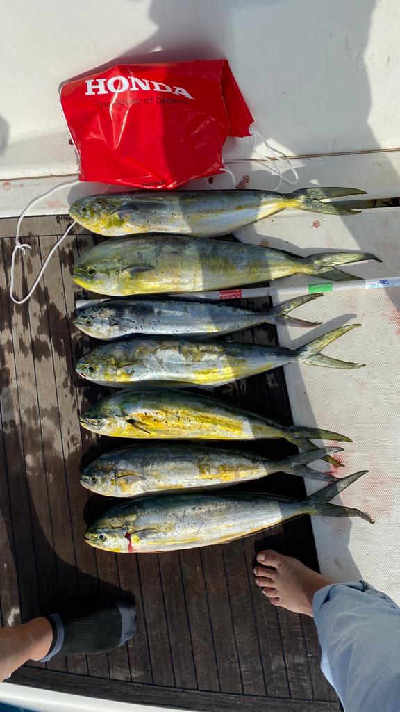 WhatsApp Image 2022-10-09 at 15.39.21