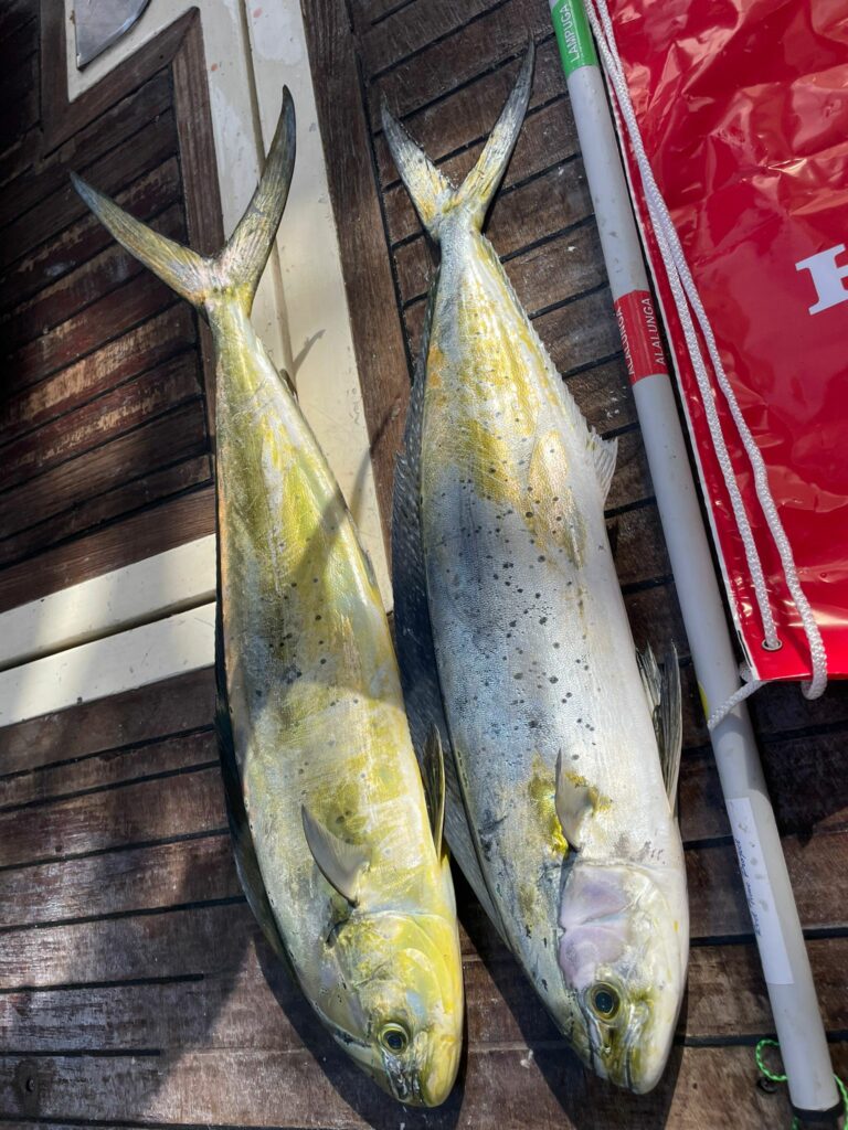 WhatsApp Image 2022-10-09 at 16.05.38